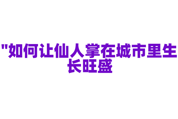 "如何让仙人掌在城市里生长旺盛？"